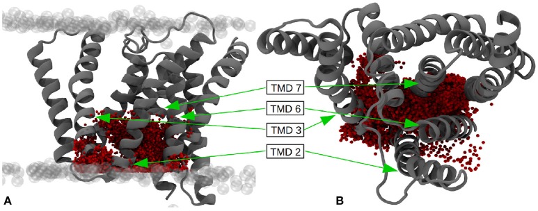 Figure 12