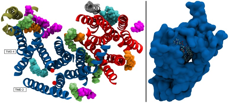 Figure 13