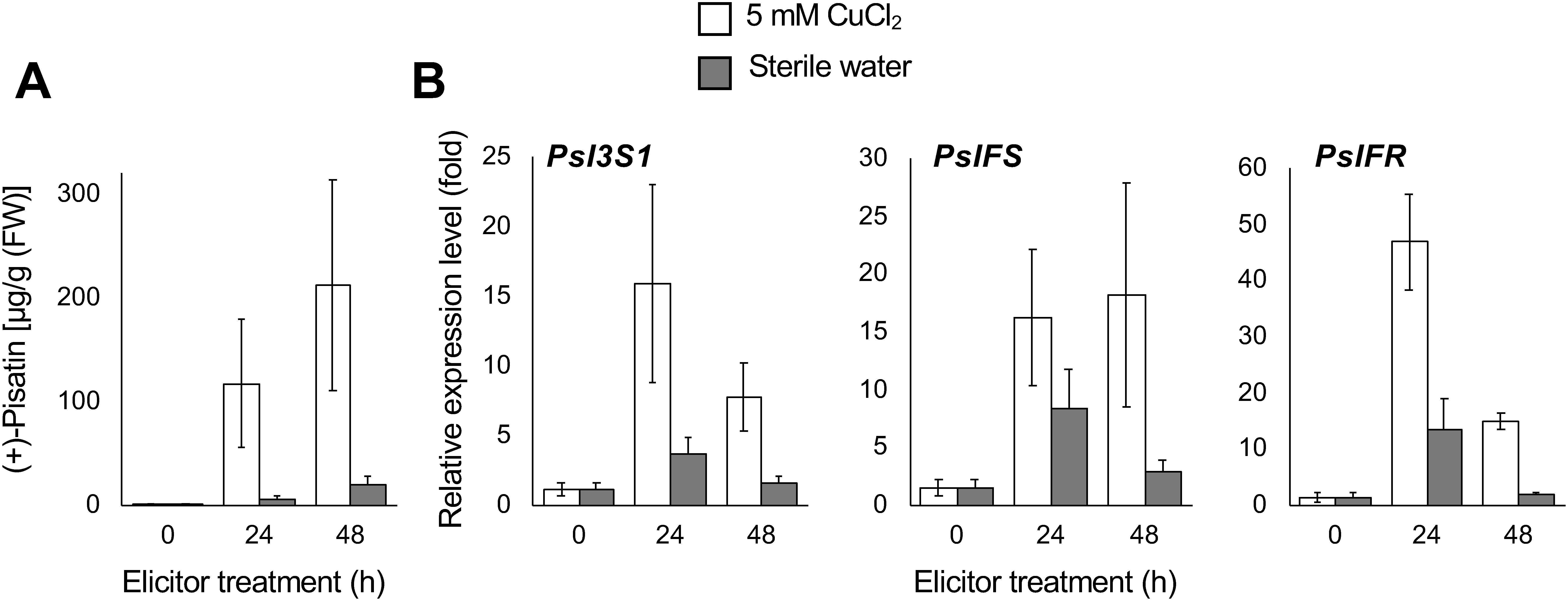 Figure 4. Time course of (+)-pisatin accumulation (A) and transcript levels of the biosynthetic genes (B) in pea cotyledon upon CuCl2 treatment. Data are expressed as mean±SE (n=3 biological replicates). Transcript levels were analyzed using the ΔΔCt method. β-Tubulin was used as the internal standard. Transcript levels were normalized to those of non-treated cotyledons (at 0 h).