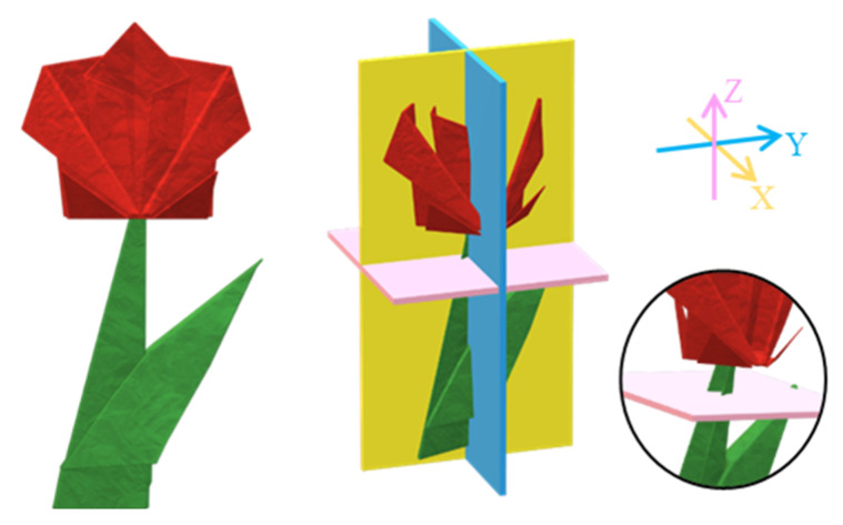 Figure 6