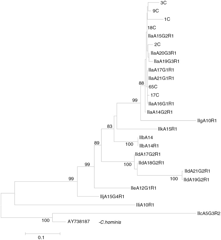 Fig. 2