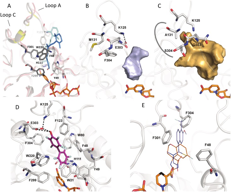 Fig 6