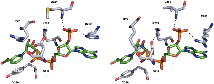 Fig 5