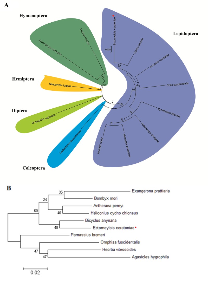 Fig 1