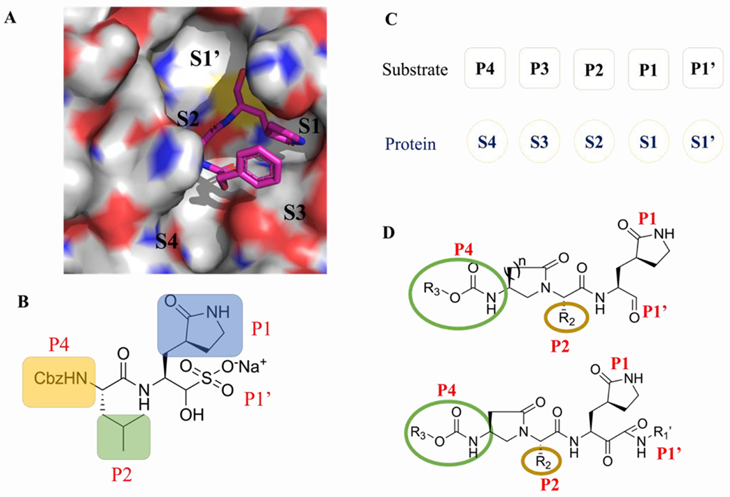 Figure 2.