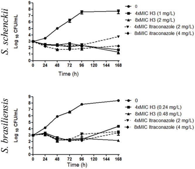 FIGURE 2