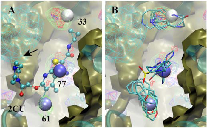 Figure 10)