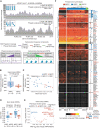Figure 3. Phasing analysis in ctDNA recapitulates nucleosome stability and trends in transcriptional activity between CRPC phenotypes. A, Illustration of nucleosome phasing analysis using TritonNP for HOXB13, which is expressed in ARPC but not NEPC. Fourier transform and a band-pass filter-based smoothing method was used to identify phased peaks (gray dotted lines). Frequency components corresponding to nucleosome dyads (wavelength > 146 bp) are shown in purple. The mean internucleosome distance was computed from all peaks in the gene body: lower values represent more periodic and stable nucleosomes. NPS is defined as the ratio of the mean amplitudes between frequency components 180–210 bp (“stable,” green curve) and 150–180 bp (“baseline,” red curve). B, Boxplot of mean phased-nucleosome distance in 17,946 gene bodies per ctDNA sample for ARPC and NEPC PDX lines. Two-tailed Mann–Whitney U test P value is shown. C, Comparison of the mean phased-nucleosome distance and the mean CCP score (estimated from RNA-seq) for 16 ARPC and 6 NEPC PDX lines. D, Boxplot of NPS in gene bodies of 47 phenotype-defining genes (35 NE-regulated and 12 AR-regulated) between ARPC and NEPC lines. Two-tailed Mann–Whitney U test P values are shown. E, Volcano plot of NPS log2 fold change (ARPC/NEPC) in the 47 phenotype-defining genes. Genes with significantly higher NPS scores (solid-colored dots (two-tailed Mann–Whitney U test, Benjamini–Hochberg adjusted FDR at P < 0.05) and nonsignificant genes (open circle) are shown. F, Hierarchical clustering of the normalized composite central mean coverage at TFBSs from the Griffin analysis of ctDNA for 108 TFs in LuCaP PDX lines of ARPC (n = 16), NEPC (n = 6), and ARLPC (n = 2) phenotypes. This list of TFs was initially selected as having differential expression between ARPC and NEPC from LuCaP PDX RNA-seq analysis. Heat map colors indicate increased accessibility (low values; yellow, orange, red) and decreased accessibility (higher values; black) in ctDNA. TFs with increased accessibility in NEPC samples (log2 fold change > 0.05, Mann–Whitney U test P < 0.05) are indicated with red bars; increased accessibility in ARPC (log2 fold change <−0.05, P < 0.05) are indicated with blue bars. Text color indicates relative expression between ARPC and NEPC PDX tumors by RNA-seq shown for TFs with significant differential accessibility.