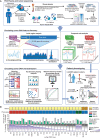 Figure 1. Characterizing advanced prostate cancer through matched tumor and liquid biopsies from PDX models. A, (top) Both blood and tissue samples were taken from 26 PDX mouse models with tumors originating from mCRPC with AR-positive adenocarcinoma (ARPC), neuroendocrine (NEPC), AR-low neuroendocrine-negative (ARLPC) phenotypes. cfDNA was extracted from pooled plasma collected from 4 to 8 mice and WGS was performed. Following bioinformatic mouse read subtraction, pure human ctDNA reads remained. From PDX tissue, ATAC-seq and CUT&RUN (targeting H3K27ac, H3K4me1, and H3K27me3) data were generated. Middle, Four distinct ctDNA features were analyzed at five genomic region types using Griffin (51) or nucleosome phasing methods developed in this study (Methods). Bottom (left), overview of PDX ctDNA features profiled to characterize the mCRPC pathways, transcriptional regulation, and nucleosome positioning. ctDNA features were evaluated for phenotype classification. Bottom (right), phenotype classification using probabilistic and analytical models that accounted for ctDNA tumor content and were informed by PDX features were applied to 159 samples in three patient cohorts. B, PDX phenotypes and mouse plasma sequencing. Inclusion status based on final mean depth after mouse read subtraction (< 3× coverage was excluded; red dotted line). Phenotype status, including 6 NEPC, 18 ARPC (2 excluded), and 2 ARLPC. Average depth of coverage before and after mouse subtraction (mean coverage 20.5×; dotted line). Percentage of the cfDNA sample that contains human ctDNA after mouse read subtraction.