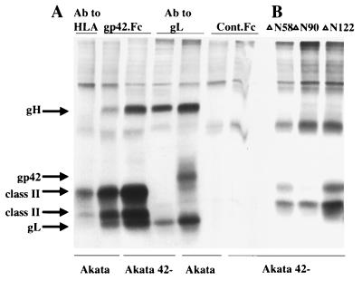 FIG. 6