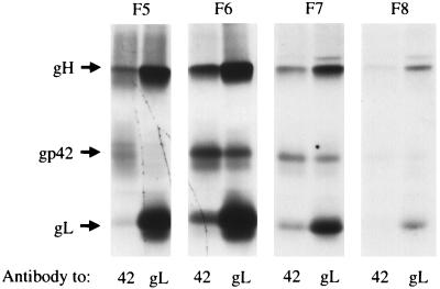 FIG. 9