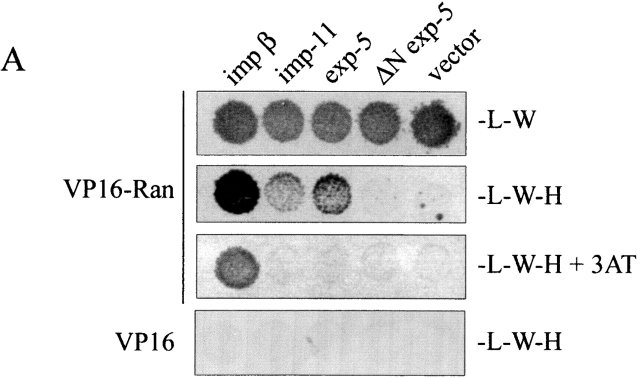 Figure 2.