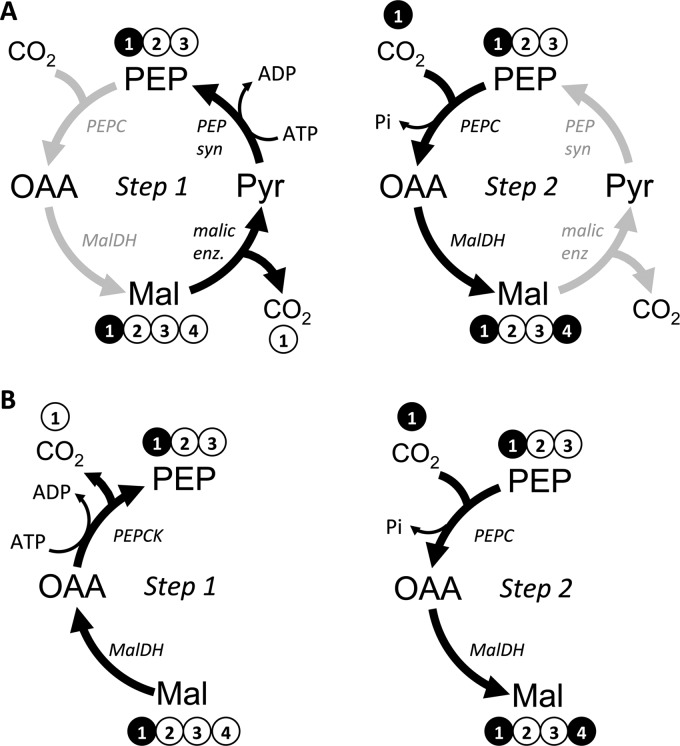 FIGURE 7.