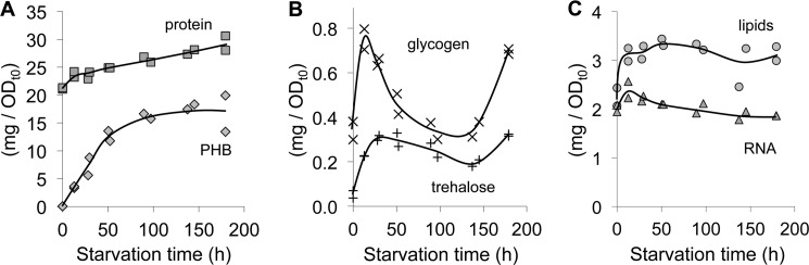 FIGURE 2.