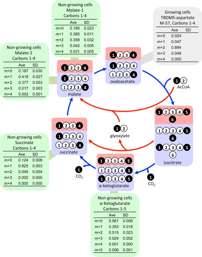 FIGURE 5.