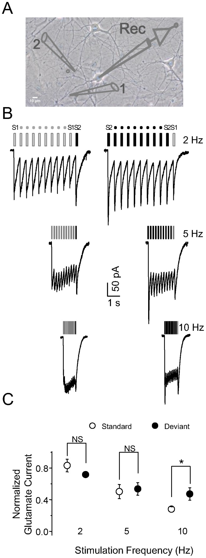 Figure 8