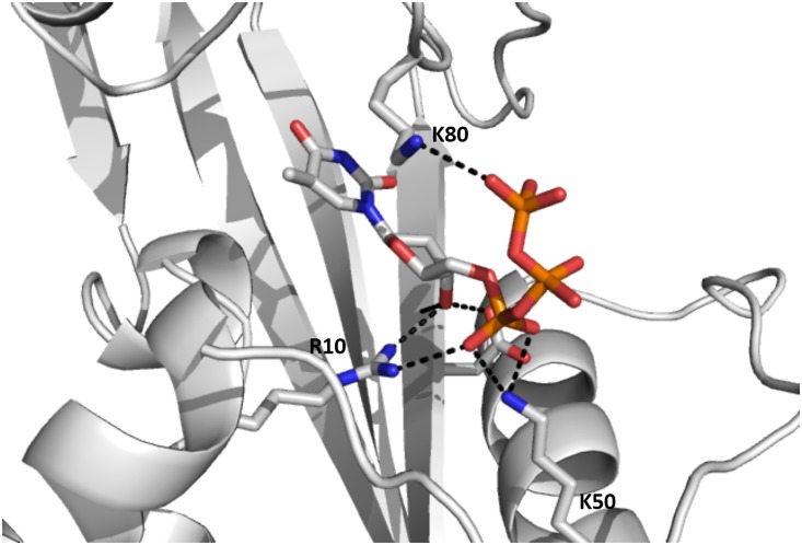 Fig 3