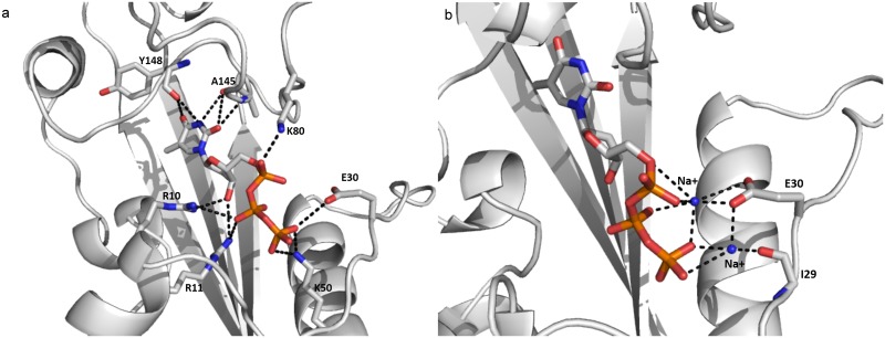 Fig 8