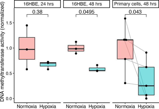 Figure 5