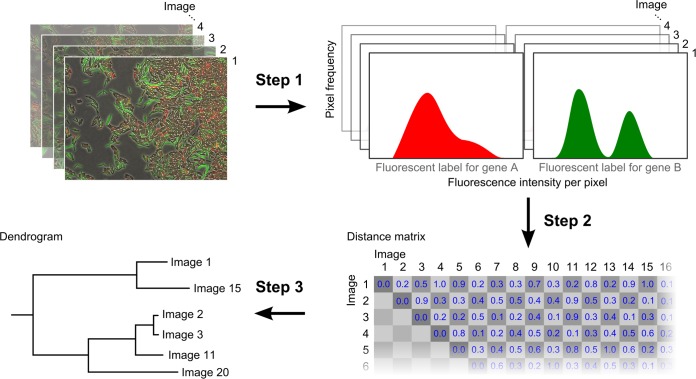 FIG 2