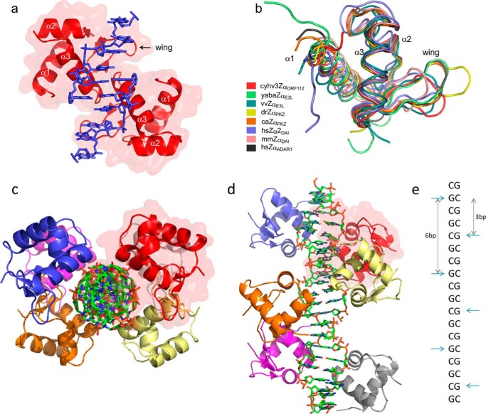 FIGURE 1.