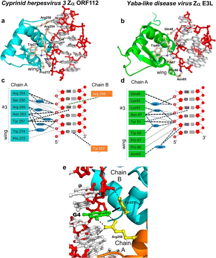 FIGURE 3.