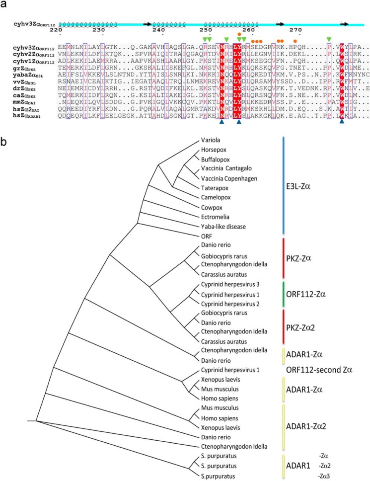 FIGURE 4.