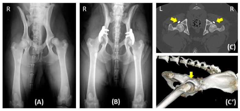 Figure 2