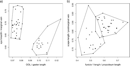 FIGURE 1.