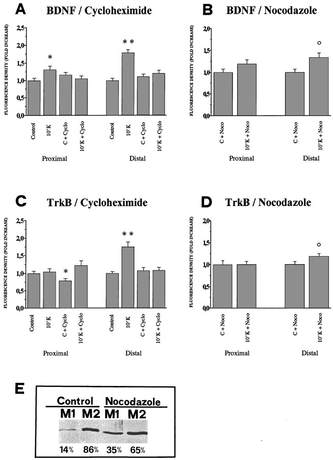 Fig. 9.