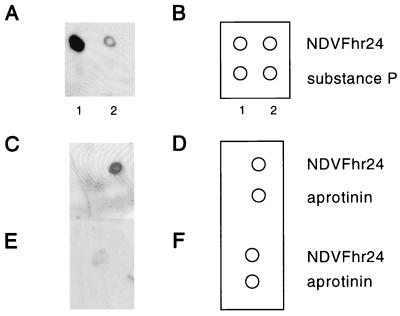 FIG. 5