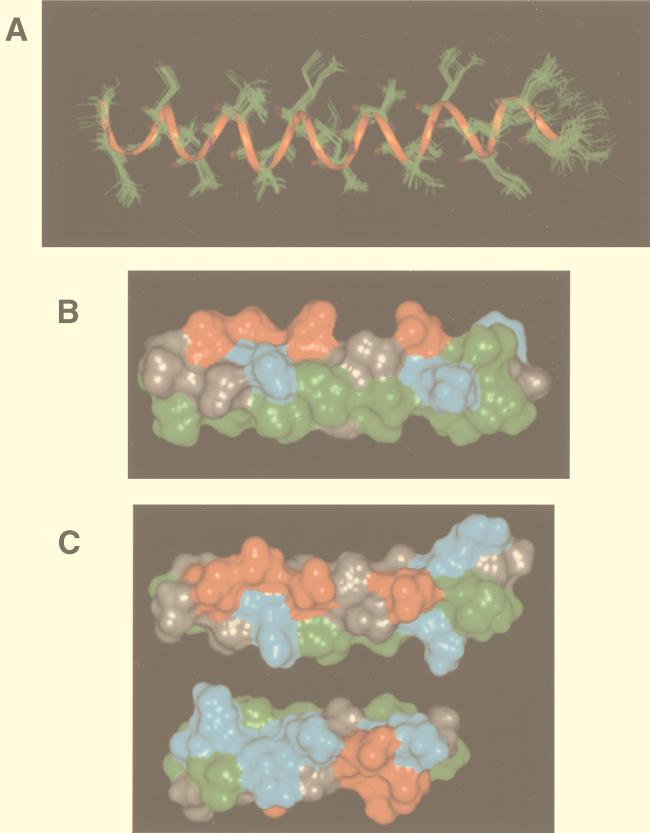 FIG. 8