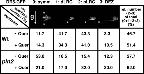 graphic file with name zbc045085403t002.jpg