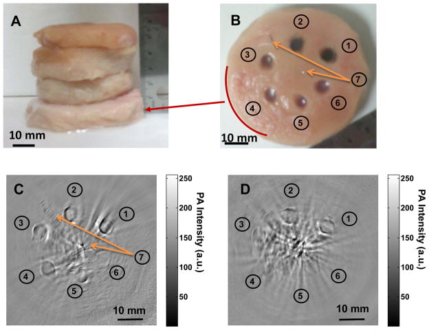 Fig. 4