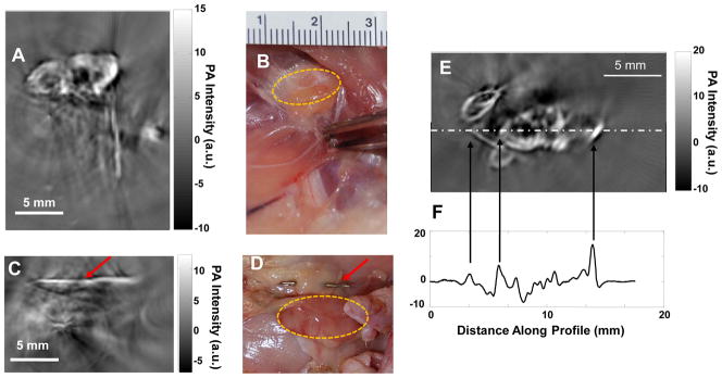 Fig. 3