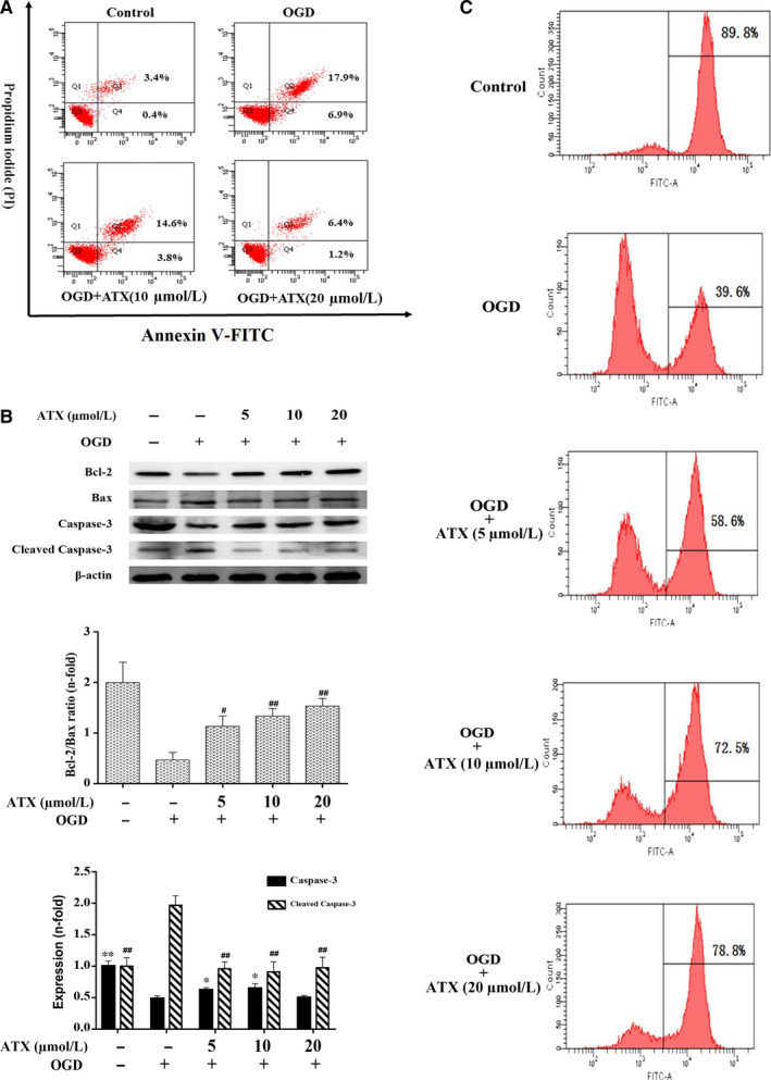 FIGURE 4