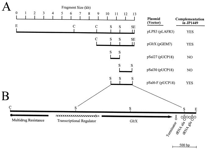 FIG. 1