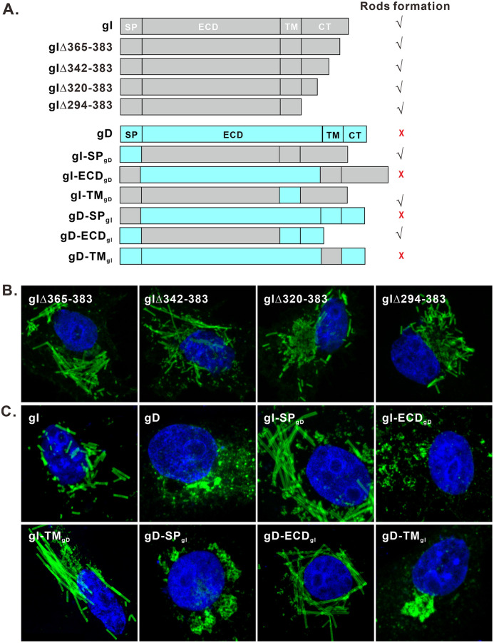 FIG 8