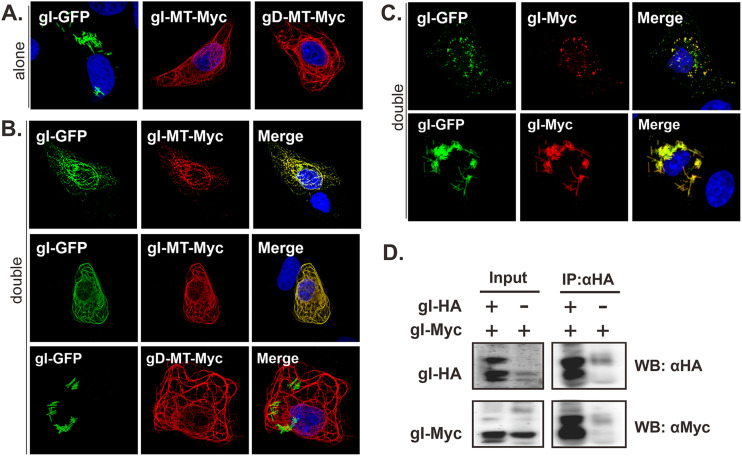 FIG 6