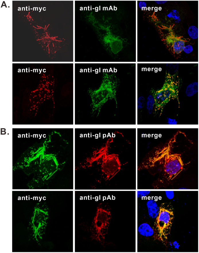 FIG 3