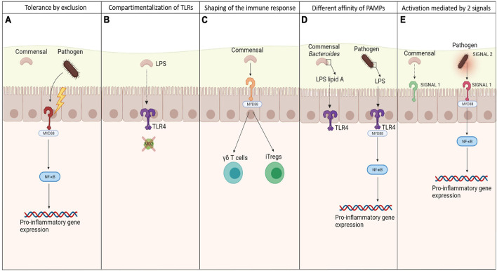 FIGURE 1