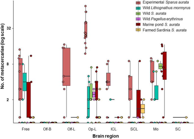 Fig. 2