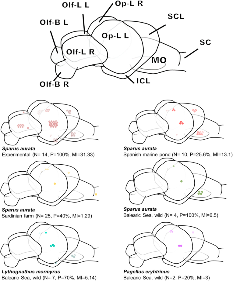 Fig. 1