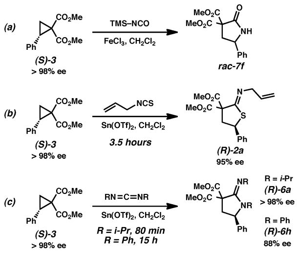 Scheme 5