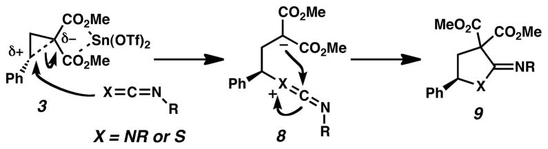 Scheme 6