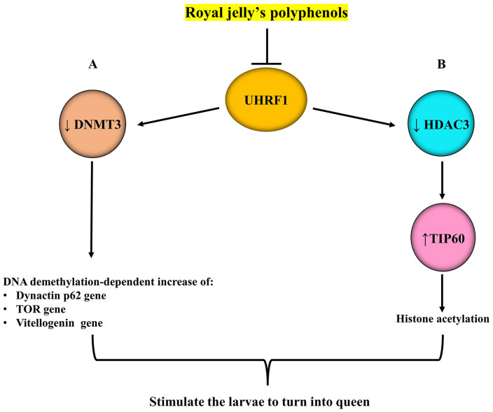 Figure 3.
