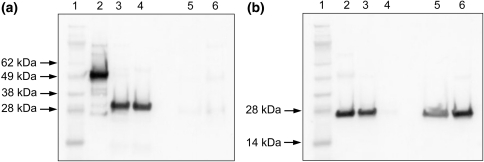 Fig. 8