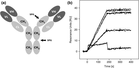 Fig. 7