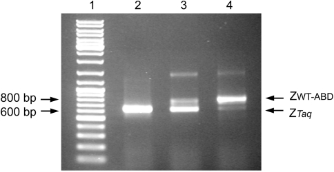 Fig. 2