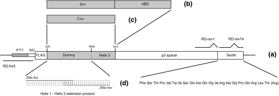 Fig. 1